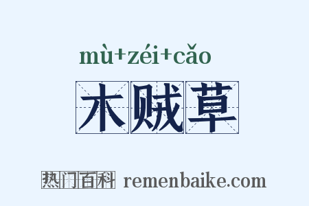 木贼草是什么意思的图片